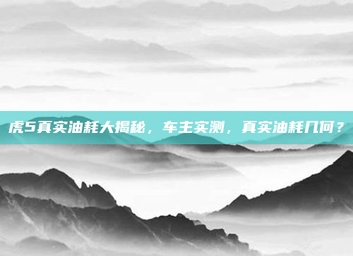虎5真实油耗大揭秘，车主实测，真实油耗几何？