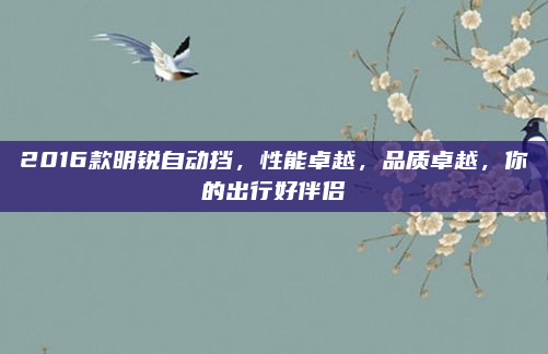 2016款明锐自动挡，性能卓越，品质卓越，你的出行好伴侣
