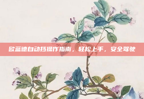 欧蓝德自动挡操作指南,轻松上手,安全驾驶