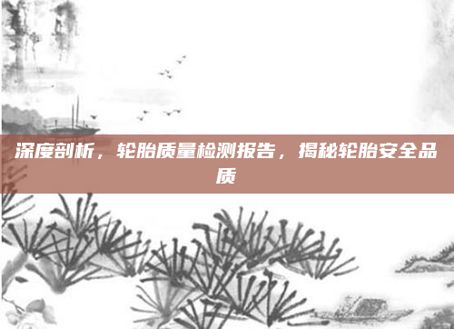深度剖析，轮胎质量检测报告，揭秘轮胎安全品质