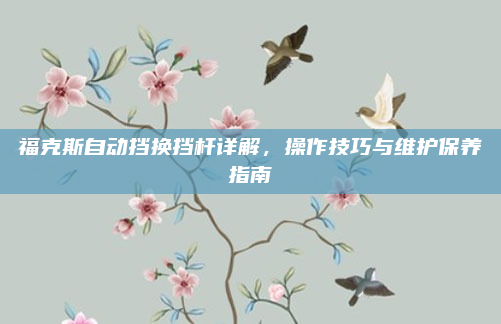 福克斯自动挡换挡杆详解,操作技巧与维护保养指南