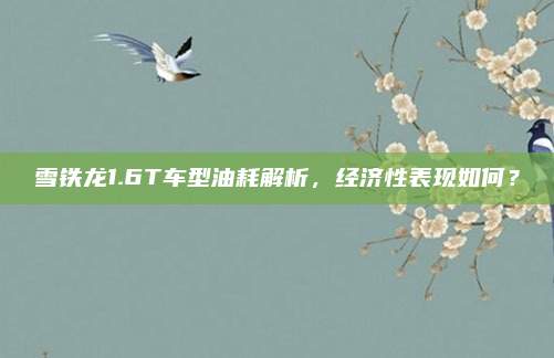 雪铁龙1.6T车型油耗解析，经济性表现如何？