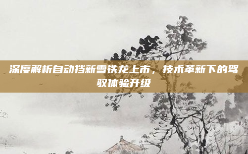 深度解析自动挡新雪铁龙上市,技术革新下的驾驭体验升级