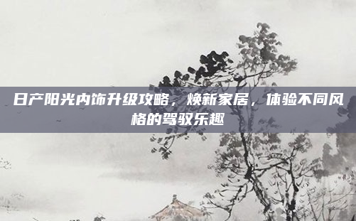 日产阳光内饰升级攻略,焕新家居,体验不同风格的驾驭乐趣