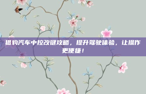 猎豹汽车中控改键攻略，提升驾驶体验，让操作更便捷！