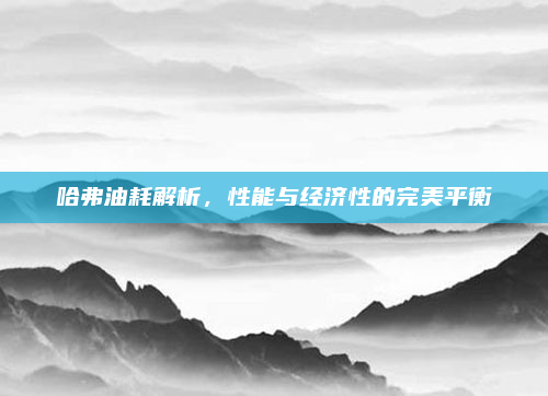 哈弗油耗解析，性能与经济性的完美平衡