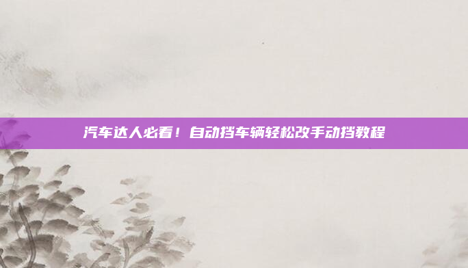汽车达人必看！自动挡车辆轻松改手动挡教程