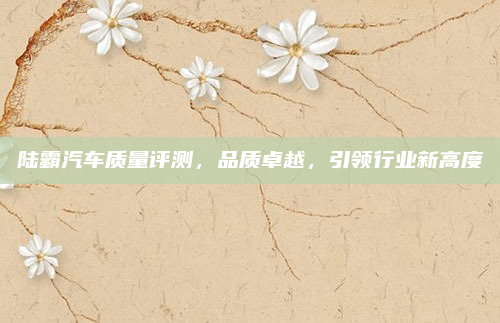 陆霸汽车质量评测，品质卓越，引领行业新高度