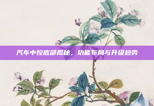 汽车中控底部揭秘，功能布局与升级趋势