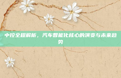 中控全程解析，汽车智能化核心的演变与未来趋势