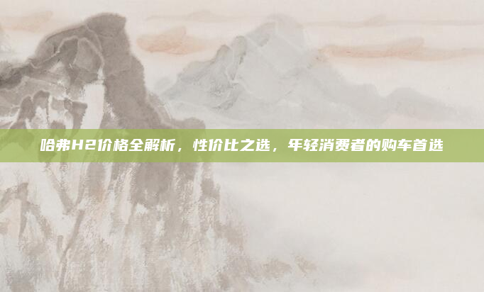 哈弗H2价格全解析，性价比之选，年轻消费者的购车首选