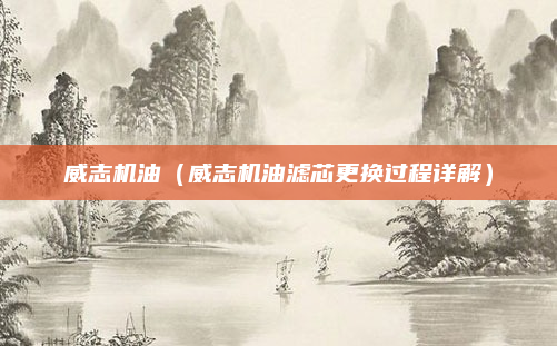 威志机油(威志机油滤芯更换过程详解)