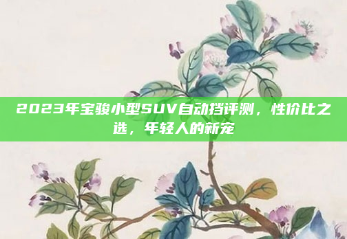 2023年宝骏小型SUV自动挡评测,性价比之选,年轻人的新宠