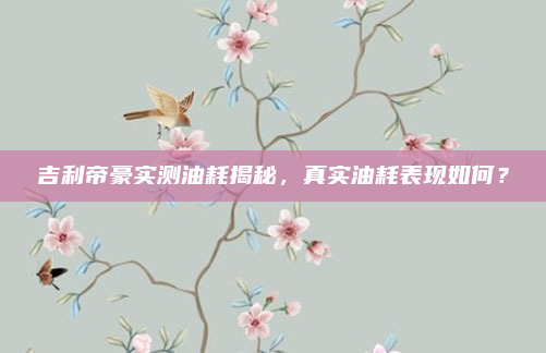 吉利帝豪实测油耗揭秘,真实油耗表现如何?