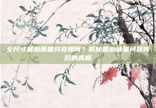 全尺寸备胎质量究竟如何?揭秘备胎质量问题背后的真相