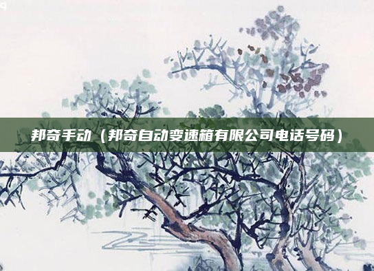 邦奇手动（邦奇自动变速箱有限公司电话号码）