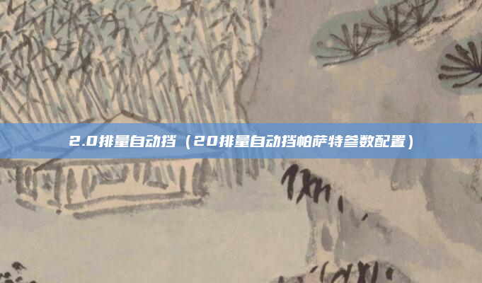 2.0排量自动挡(20排量自动挡帕萨特参数配置)