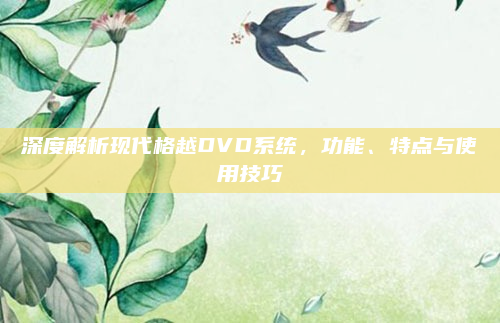 深度解析现代格越DVD系统，功能、特点与使用技巧