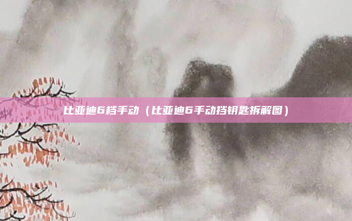 比亚迪6档手动(比亚迪6手动挡钥匙拆解图)