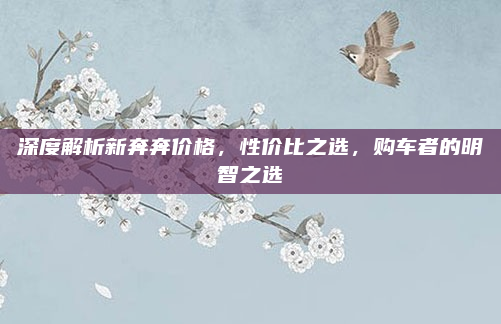 深度解析新奔奔价格，性价比之选，购车者的明智之选