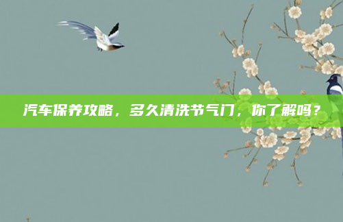 汽车保养攻略,多久清洗节气门,你了解吗?