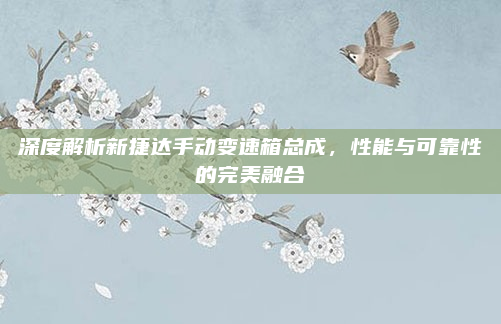 深度解析新捷达手动变速箱总成,性能与可靠性的完美融合