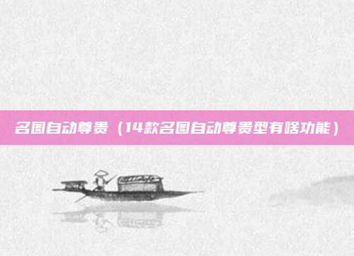 名图自动尊贵（14款名图自动尊贵型有啥功能）