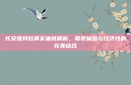 长安维特拉真实油耗解析,驾驶体验与经济性的完美结合