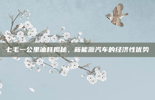 七毛一公里油耗揭秘,新能源汽车的经济性优势
