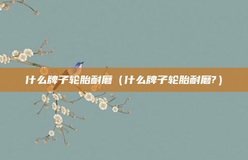 什么牌子轮胎耐磨(什么牌子轮胎耐磨?)