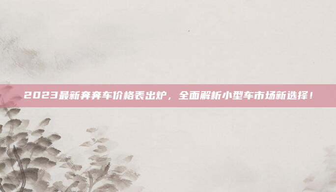 2023最新奔奔车价格表出炉,全面解析小型车市场新选择!