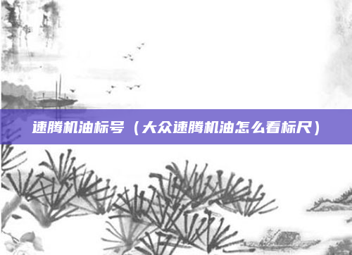 速腾机油标号（大众速腾机油怎么看标尺）