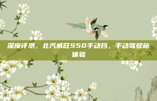 深度评测，北汽威旺S50手动挡，手动驾驭新体验