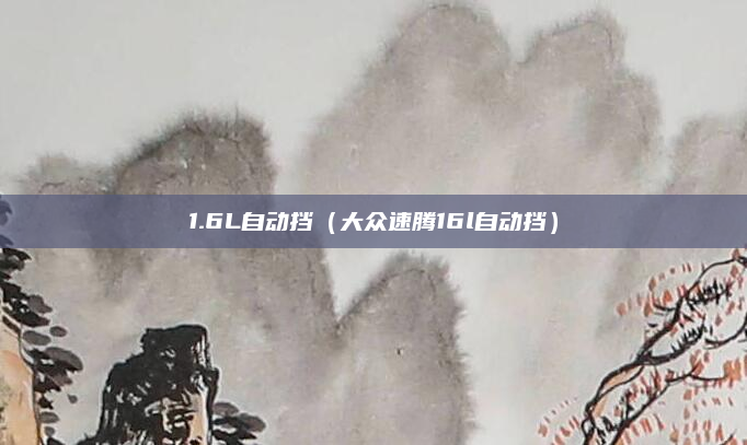 1.6L自动挡(大众速腾16l自动挡)