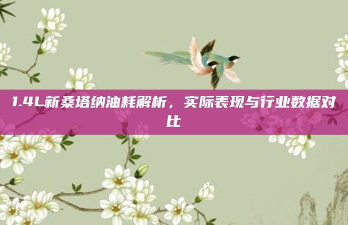 1.4L新桑塔纳油耗解析，实际表现与行业数据对比
