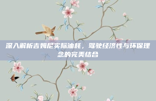 深入解析吉姆尼实际油耗,驾驶经济性与环保理念的完美结合