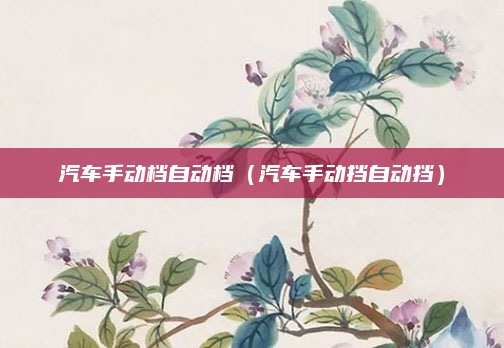 汽车手动档自动档(汽车手动挡自动挡)