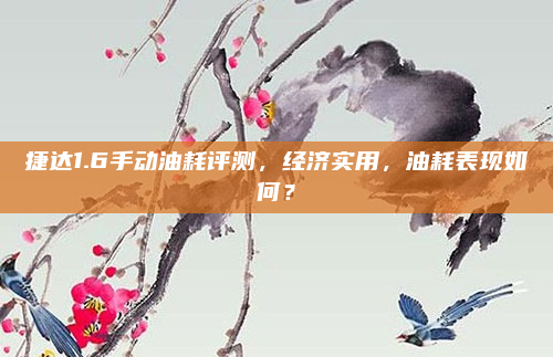 捷达1.6手动油耗评测,经济实用,油耗表现如何?