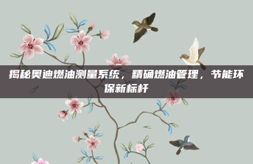揭秘奥迪燃油测量系统，精确燃油管理，节能环保新标杆
