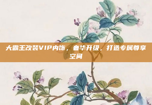 大霸王改装VIP内饰，奢华升级，打造专属尊享空间