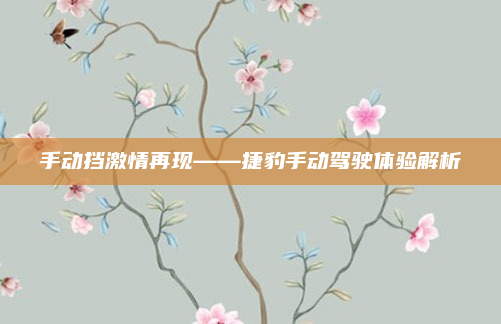 手动挡激情再现——捷豹手动驾驶体验解析