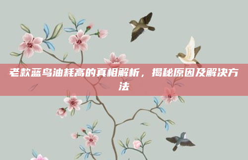 老款蓝鸟油耗高的真相解析，揭秘原因及解决方法