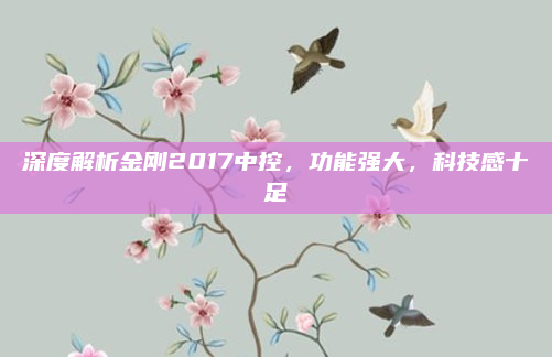 深度解析金刚2017中控，功能强大，科技感十足