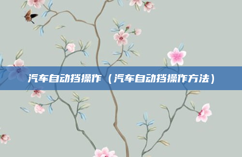 汽车自动挡操作（汽车自动挡操作方法）