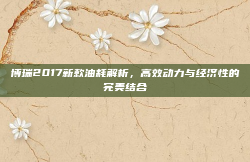 博瑞2017新款油耗解析，高效动力与经济性的完美结合