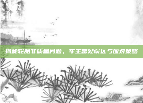揭秘轮胎非质量问题,车主常见误区与应对策略