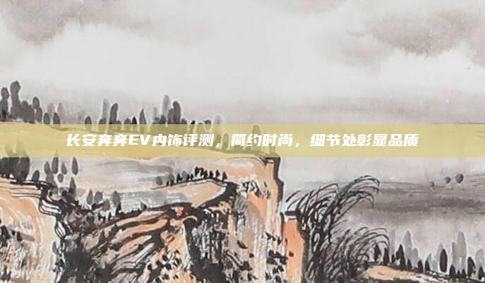长安奔奔EV内饰评测，简约时尚，细节处彰显品质