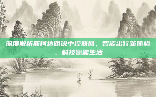 深度解析斯柯达明锐中控联网，智能出行新体验，科技赋能生活