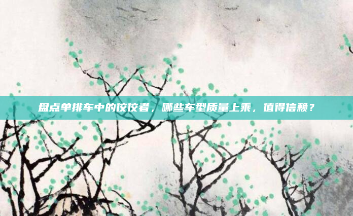 盘点单排车中的佼佼者，哪些车型质量上乘，值得信赖？