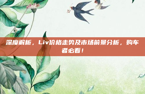 深度解析，Liv价格走势及市场前景分析，购车者必看！